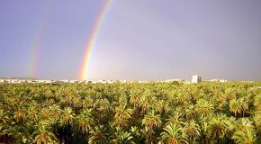 Social Media y Destino: reconocer las oportunidades del social media en la promoción turística del siglo XXI #VisitElche