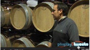 Los vídeos del V PlisPlayAndTweets por cortesía de @pacorico de @avantimatge